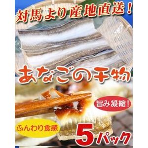 身が引き締まり脂ののった対馬産あなごの干物《5パック》