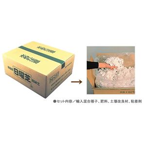 家庭用常緑芝(種) 日曜芝 10〜13平米用