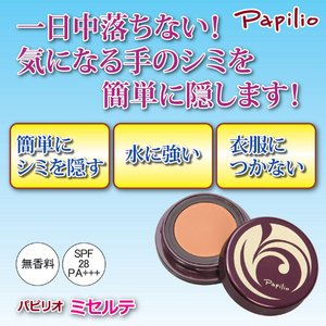 psI@~Ze@Cg摜R
