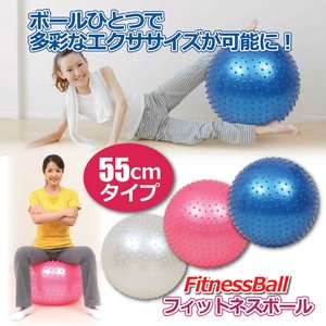 フィットネスボール 【ブルー（青）】直径約55cm エアーポンプ/ピン付き