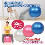 フィットネスボール 【ブルー（青）】直径約55cm エアーポンプ/ピン付き
