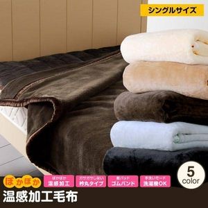 ぽかぽか温感加工毛布 シングル アイボリー 