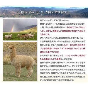 【柄おまかせ】 特許立体凹凸ドリームカット中芯入り アルパカ100%敷布団 シングルサイズ ブルー系