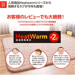 HeatWarmiq[gEH[j MOy`185cm~235cmziNTj ` x[W摜Q