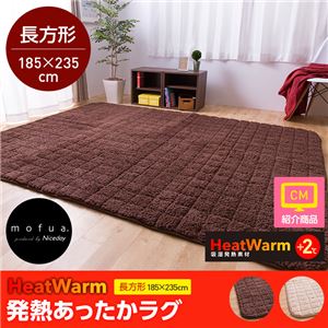 HeatWarm（ヒートウォーム） 発熱あったかラグ【長方形185cm×235cm】（NT） 長方形 ブラウン