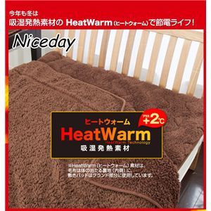 HeatWarmiq[gEH[j M2킹~pbhiNTj _u uE摜2