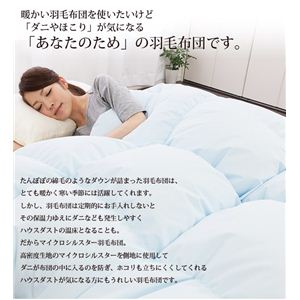 { l }CNVX^[HѕzciNTj VO x[W摜R