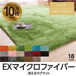 E×マイクロファイバー洗えるラグマット （200×250cm） グレー