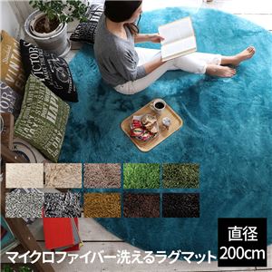 E×マイクロファイバー洗えるラグマット （直径200cm） モスグリーン