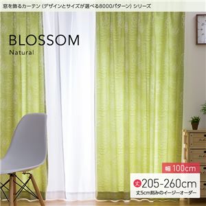 窓を飾るカーテン（デザインとサイズが選べる8000パターン）ナチュラル BLOSSOM（ブロッサム） 遮光2級 （MZ） 幅100cm×丈205cm（2枚組） アイボリー
