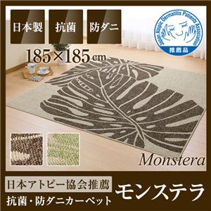国産デザインラグマット（抗菌・防ダニ・アトピー協会推奨カーペット）モンステラ 185×185cm ベージュ