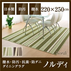 国産デザインラグマット（撥水・防汚・抗菌・防ダニダイニングラグ）ノルディ 220×250cm グリーン