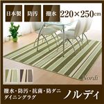 国産デザインラグマット（撥水・防汚・抗菌・防ダニダイニングラグ）ノルディ 220×250cm グリーン