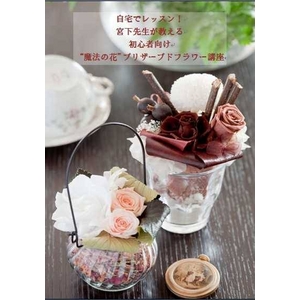 yʐMuzg@̉ԁgvU[uht[u [eLXg&DVD]摜Q