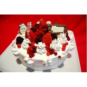 【12月17日で予約終了　2010年クリスマス向け】オリジナルのクリスマスケーキが作れちゃう 手作りケーキセット