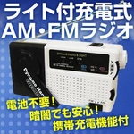 アンドー 充電式ライトラジオ [ RL7-785KL ]