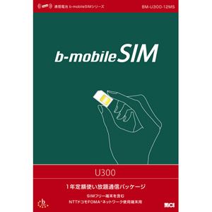 b-mobile b-mobile SIM U300 1年間（365日）使い放題 [ BM-U300-12MS ]