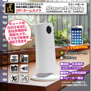 【ホームカメラ】WiFiホームカメラ(匠ブランド)『Smart Pole』(スマートポール)