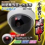 【屋外】防犯用ダミーカメラ（ドームタイプ）DC-100