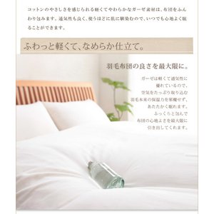 y{zӂ_uK[[ |Jo[@VO@AC{[摜Q