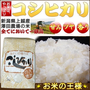 こしひかり特集