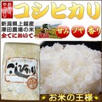 【平成27年産】 澤田農場の新潟県上越産コシヒカリ白米 20ｋｇ（5ｋｇ×4袋）
