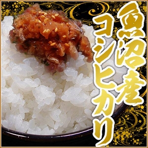 【お歳暮用 のし付き(名入れ不可) 平成22年産新米!】中村農園の魚沼産コシヒカリ白米10kg(5kg×2袋)