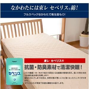 電子消臭グラフトロン 超消臭敷パッド ダブルイメージ小
