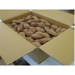 種子島産安納芋 ２０ｋｇ