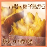 【特別販売　種子島産】安納いも5kg（25個前後）