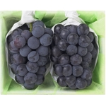 岡山産 ピオーネ 2房入り約1Kg