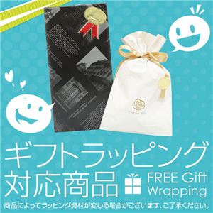 Mioi~Ij Sv@\tX|[crv Motion Fit Petitei[V tBbg v`j摜R