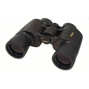 Kenko�i�P���R�[�j �o�ዾ �A�[�g�X 12�~42W�摜����1