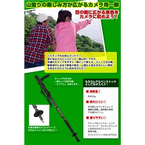 トレッキングモノポッド E-2074画像その1更新中