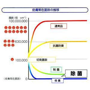 btoX}bguuEv ~jTCY 摜4