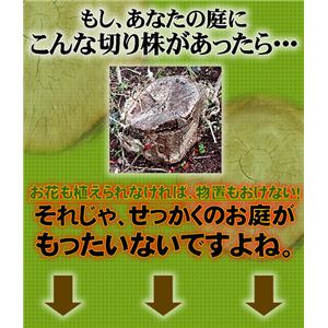 X^vEAEg 2g 摜Q