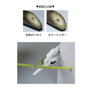 X}[gVU[ zCg 摜S