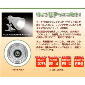 _CtN^NbvCg 100W`1CLED10012BK 摜2XV