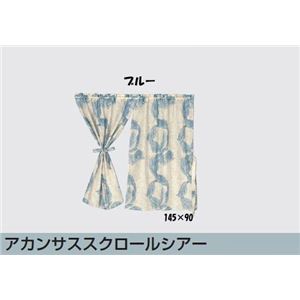 쓇DZR X^Ĉ AJTXXN[VA[1 145~90cm u[ EJ1040摜1