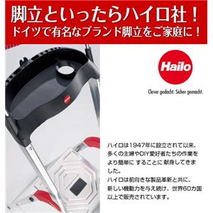 60002 nCЋr Hailo K20inCK20j 3i摜S