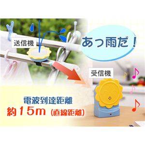 J~ZT[摜Q