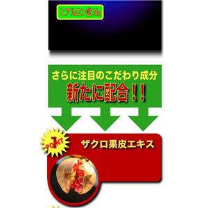 v}G P[[[V摜S