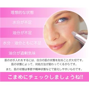 ̌ SKIN CHECKER摜Q
