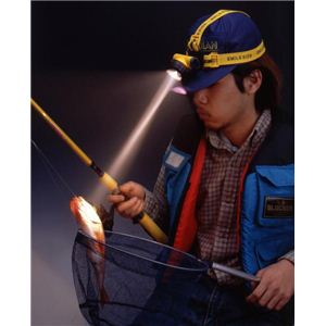 �h�J�w�b�h�����v ACA-3202�摜���̂P�X�V��