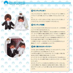 EFfBOE`b`Zbg 260900摜Q