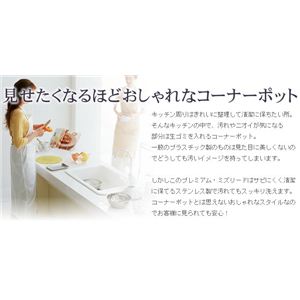 v~AE~Y[h~R[i[|bg摜Q