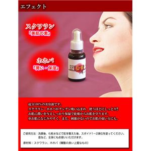 GtFNgb`摜Q