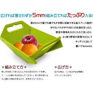 JosephJosephWZtWZt tH[fBOR_[ O[摜Q
