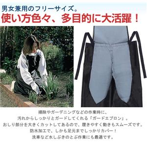 [NGviY{^Cvj摜Q