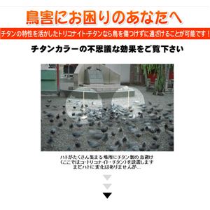REgRiCgE`^ NEW 3{摜Q